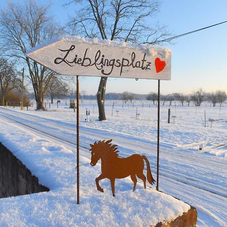 Ferienwohnung Auf Pferdehof Dreetz 外观 照片
