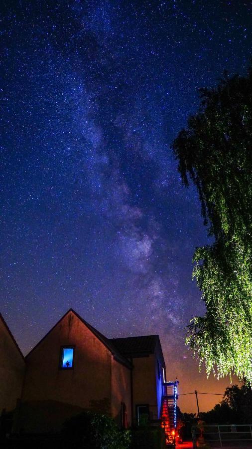 Ferienwohnung Auf Pferdehof Dreetz 外观 照片