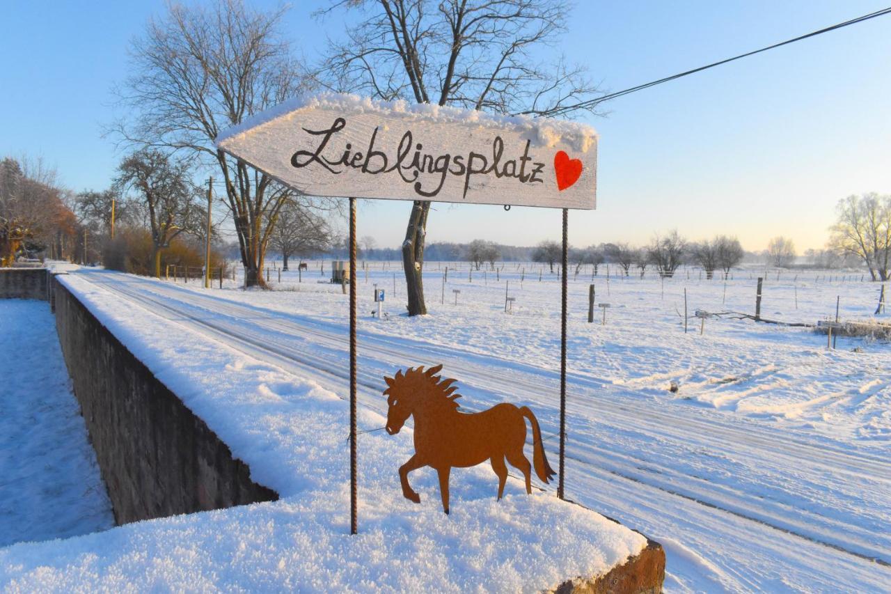 Ferienwohnung Auf Pferdehof Dreetz 外观 照片