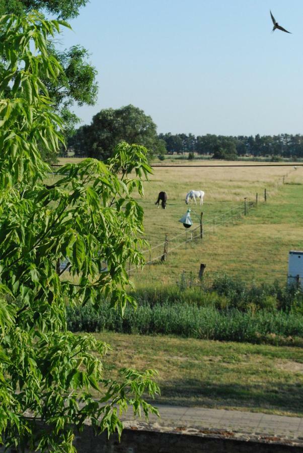 Ferienwohnung Auf Pferdehof Dreetz 外观 照片