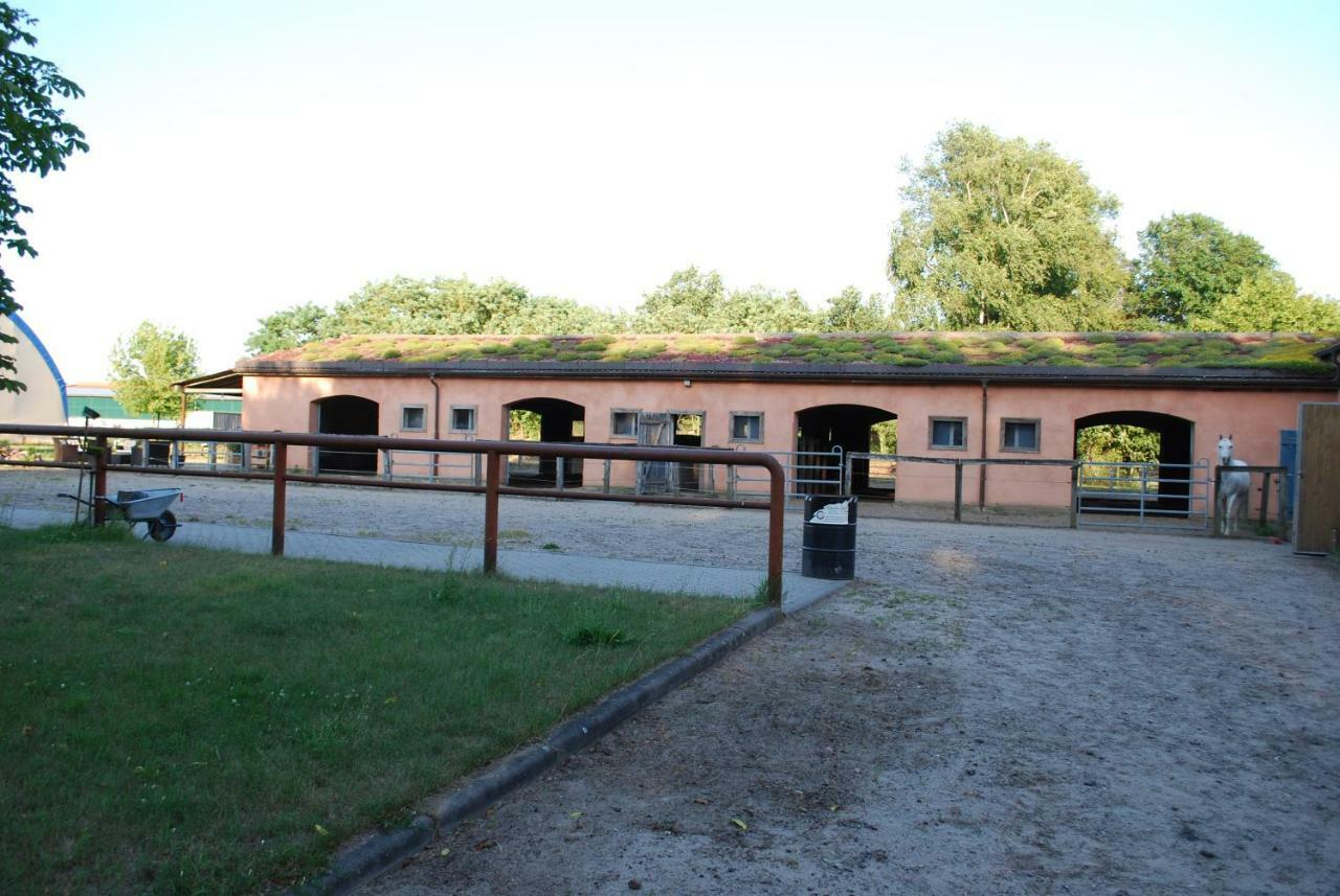 Ferienwohnung Auf Pferdehof Dreetz 外观 照片