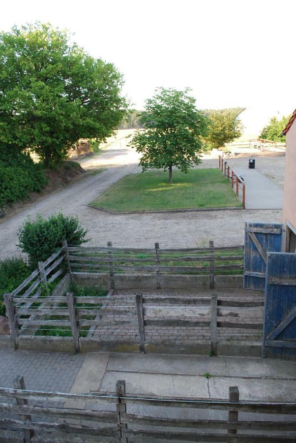 Ferienwohnung Auf Pferdehof Dreetz 外观 照片